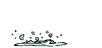 fish_jump